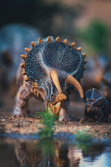 Triceratops Migration: A Herd on the Move