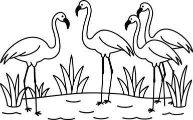 flamingos group standing in a wetland line art vector illustration, tropical bird flamingo line drawing	
