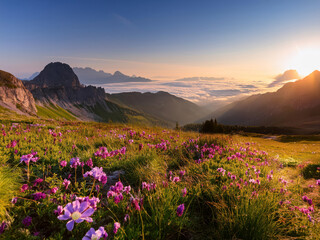 spring in the mountains