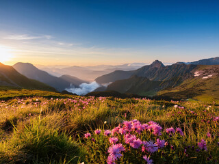 spring in the mountains