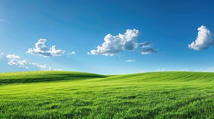 Lush green meadow under clear blue sky