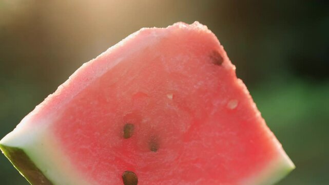 Close up of rotation watermelon slice. Slices of fresh watermelon on wooden table in green garden during warm sunset. Summer food concept. Selective focus