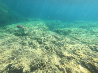 Calella de Palafrugell, Gerona, Cataluña, España