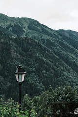 Pole in front of forest in Chamonix, France