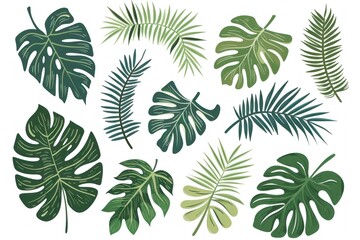 Vector tropical leaf collection: monstera and palm leaves in various shapes, perfect for design projects - Generative ai