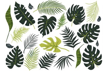 Vector tropical leaf collection: monstera and palm leaves in various shapes, perfect for design projects - Generative ai