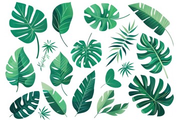 Tropical leaf vector set with monstera and palm plants on a white background, perfect for design projects - Generative ai