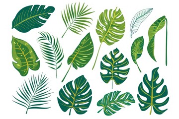 Fototapeta premium Tropical leaf vector set with monstera and palm plants on a white background, perfect for design projects - Generative ai
