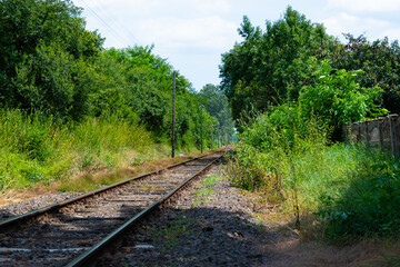 Obraz premium railway in the forest