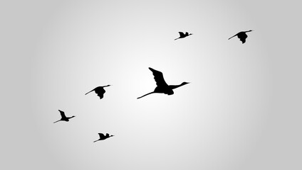 Flying Birds Flock Vector Illustration. Suitable for Wall art, posters, t-shirts, home decor, Greeting cards, wedding invitations, stationery, and apparel
