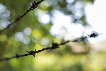 Barbed wire, a linear structural element of dams and fences.
