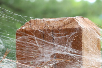 Spooky spider webs