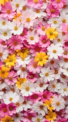 Colorful meadow herbs and garden flowers a white background. For greetings and invitations