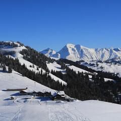 View from the Horneggli ski area, Swiss Alps.