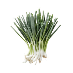 Fresh green leeks on clean white background.