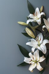 Obraz premium A bouquet of white lilies sits on a grey background. The flowers are the main focus of the image, and they appear to be the most vibrant and beautiful part of the scene