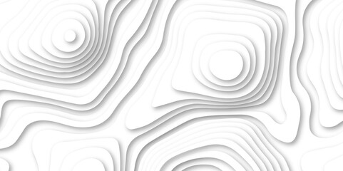Abstract white color papercut realistic decoration texture design. modern white 3d luxury papercut wave line pattern background. geometry wallpaper, banner, poster vector illustration .