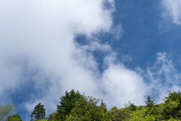 青空が広がる夏の高原