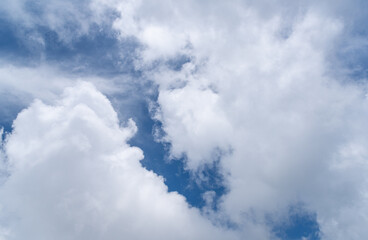 Obraz premium 見上げると綺麗な青空