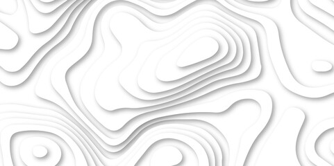 Fototapeta premium Abstract white color papercut realistic decoration texture design. modern white 3d luxury papercut wave line pattern background. geometry wallpaper, banner, poster vector illustration .