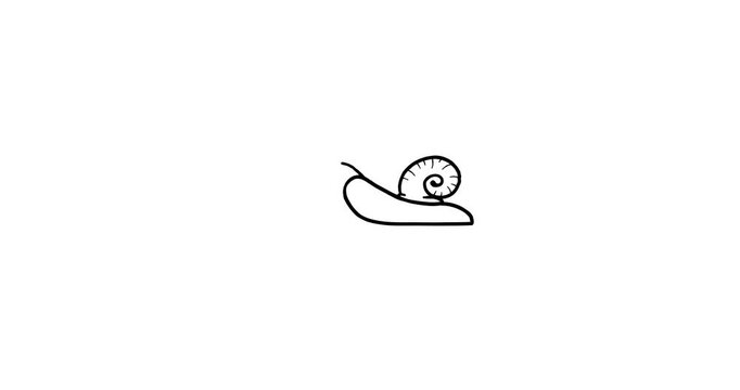Snail drawing intro for success speed up whiteboard. Business black and white explainer alternative for rocket start fire, aeroplane or superhero superheroine transformation.
