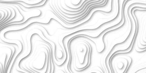 Abstract white color papercut realistic decoration texture design. modern white 3d luxury papercut wave line pattern background. geometry wallpaper, banner, poster vector illustration .