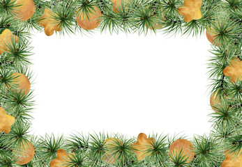 Pine, fir tree, spruce branches, gold bauble balls stars. Watercolor hand drawn illustration, border frame isolated on white. Xmas, happy new year festive, noel navidad. Cards, gifts, florist shop.