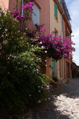 house on a street in Coilloure