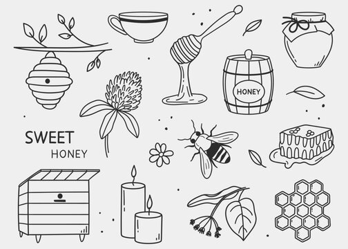 Vector collection of beekeeping and honey items hand-drawn in doodle style