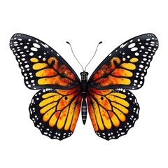 Fototapeta premium monarch butterfly in cartoon style