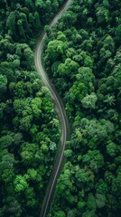 Aerial Top View of Winding Mountain Road in Dense Green Forest. Scenic Drive from Various Angles. Artistic Design Mockup Template. AI-Generated, 4K High-Definition Wallpaper