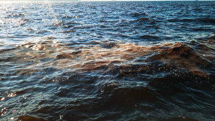 Environmental pollution in the Aegean Gulf