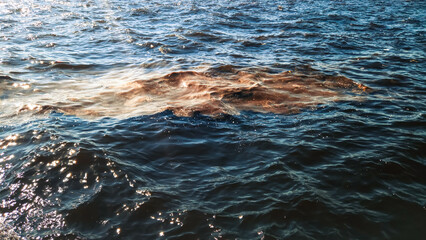 Environmental pollution in the Aegean Gulf