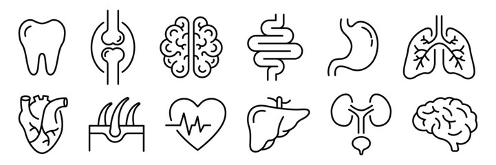 Human Internal Organ Anatomy Line Icon Set. Liver, Tooth, Brain, Stomach, Heart, Lung, Urinary System, Bone, Skin layer, Intestine Linear Pictogram. Healthcare Sign. Isolated Vector Illustration.