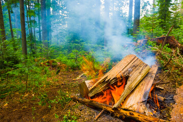 closeup camp fire in green wet forest