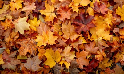 Abstract Autumn Leaves Background Depicting Seasonal Changes and Falling Leaves. Various Angles for Artistic Design Mockup Template, AI-Generated, 4K High-Definition Wallpaper.