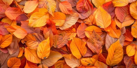 Abstract Autumn Leaves Background Depicting Seasonal Changes and Falling Leaves. Various Angles for Artistic Design Mockup Template, AI-Generated, 4K High-Definition Wallpaper.