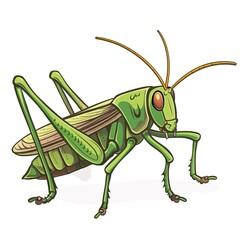 Grasshopper Classic fashion cartoon isolated whitebackground