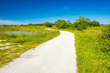Bicycle path in the countryside of the Oleron island on a sunny day, France