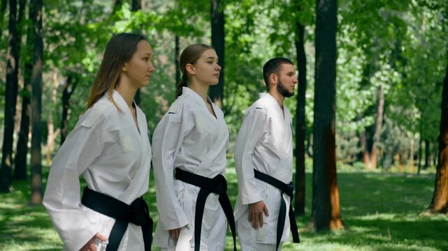 outdoors in the park in sunny weather young karatekas are warming up using the karate technique martial arts black belt healthy lifestyle combat training