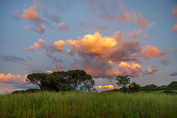 Abendstimmung in der Toscana