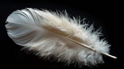 Obraz premium A delicate white feather against a dark background, illustrating purity and softness in its intricate textures.