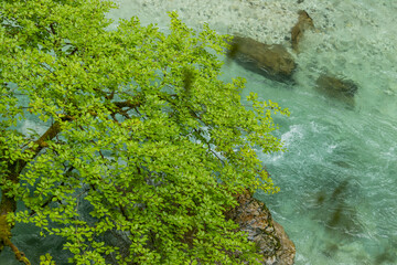Vintgar Gorges Park a few km from Lake Bled, Slovenia. Wooden walkways accompany the path above the river rapids and waterfalls. River hits rocks and creates fog.Adventure family holidays. Freshness.