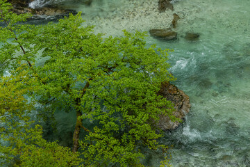 Vintgar Gorges Park a few km from Lake Bled, Slovenia. Wooden walkways accompany the path above the river rapids and waterfalls. River hits rocks and creates fog.Adventure family holidays. Freshness.