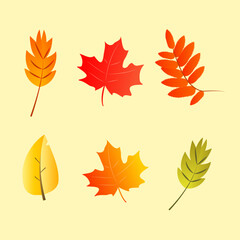 Obraz premium Autumn leaves vector set
