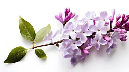 Beautiful flowers bring back memories.