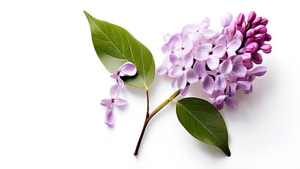 Beautiful flowers bring back memories.