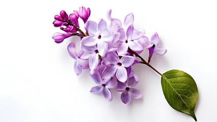 Beautiful flowers bring back memories.