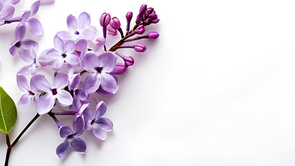 Beautiful flowers bring back memories.