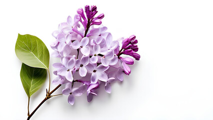 Beautiful flowers bring back memories.